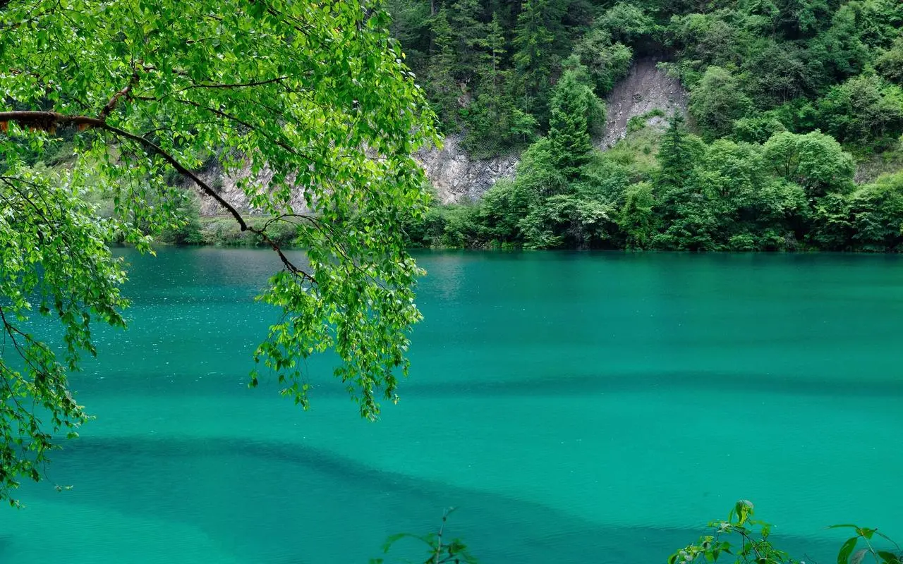 自动化无人化